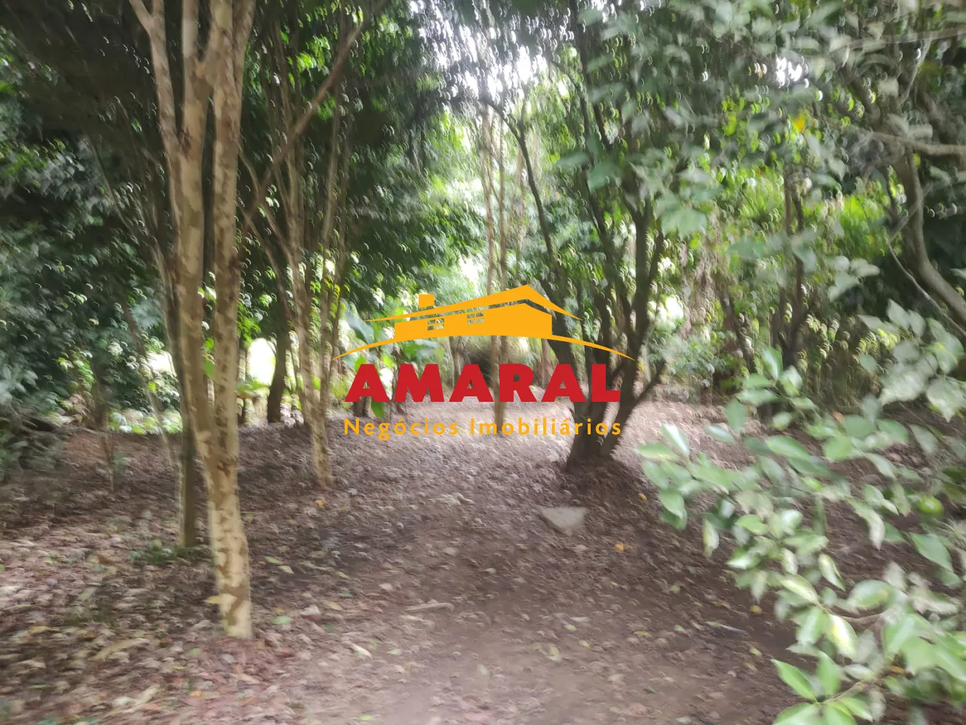Comprar Rurais / Ch&aacute;cara em Suzano R$ 650.000,00 - Foto 4
