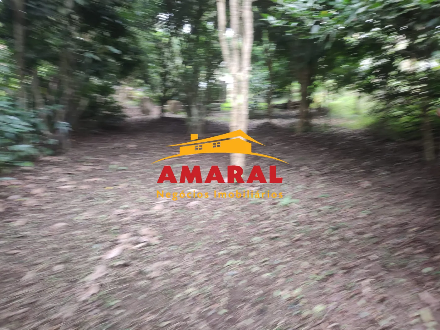 Comprar Rurais / Ch&aacute;cara em Suzano R$ 650.000,00 - Foto 7