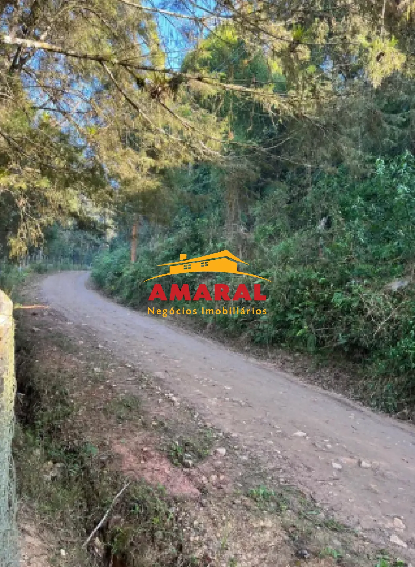 Comprar Rurais / Ch&aacute;cara em Mogi das Cruzes R$ 1.000.000,00 - Foto 17