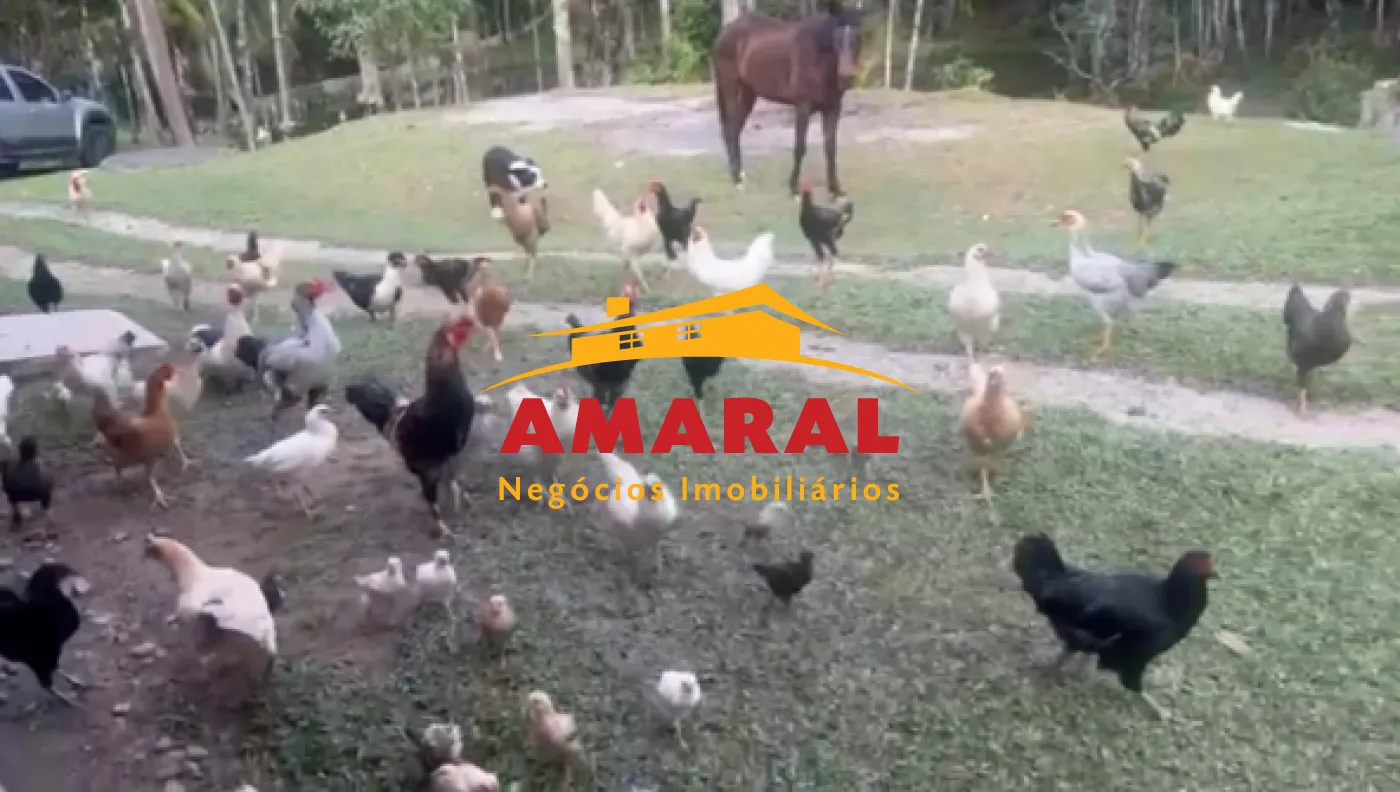 Comprar Rurais / Ch&aacute;cara em Mogi das Cruzes R$ 1.000.000,00 - Foto 11