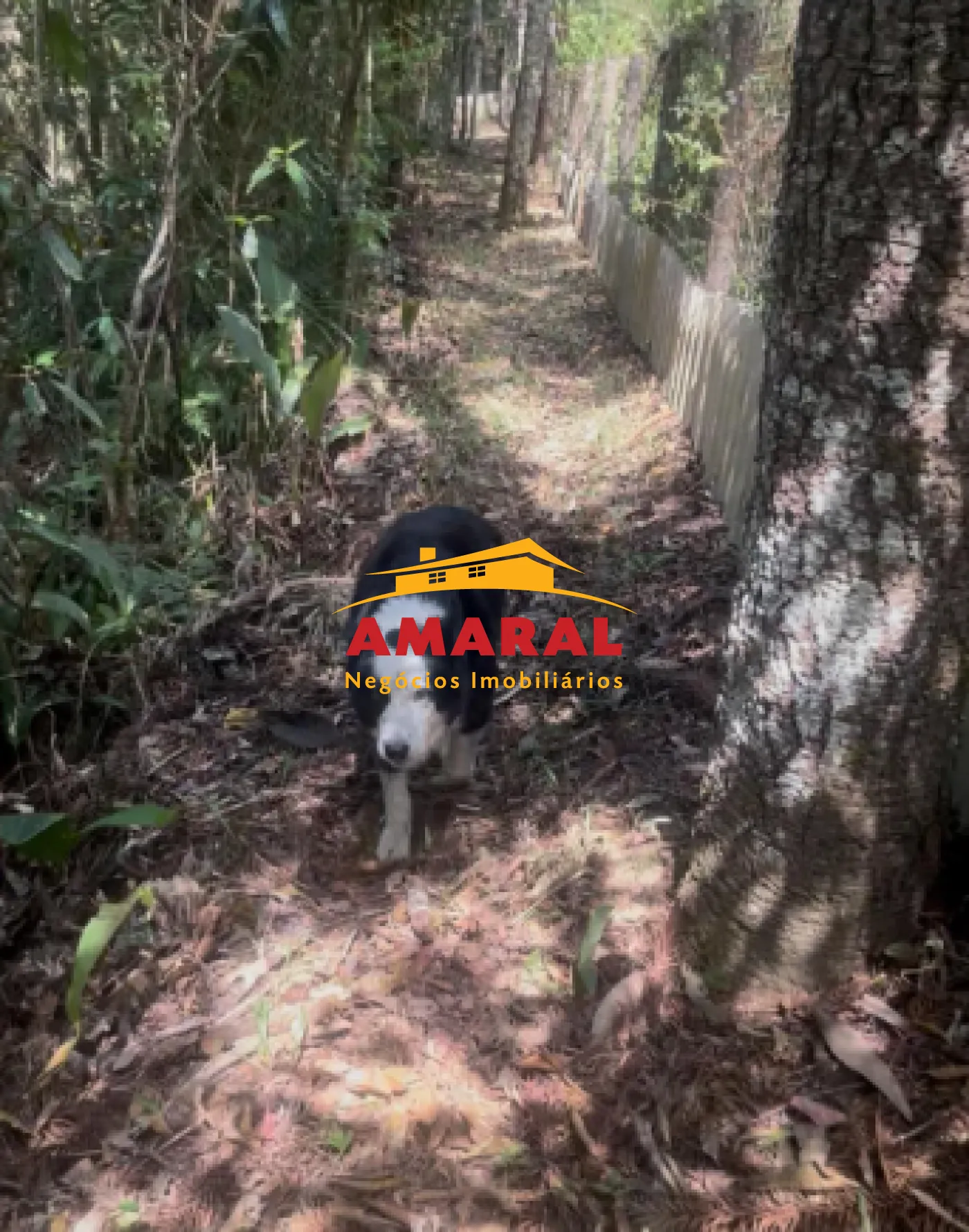 Comprar Rurais / Ch&aacute;cara em Mogi das Cruzes R$ 1.000.000,00 - Foto 15