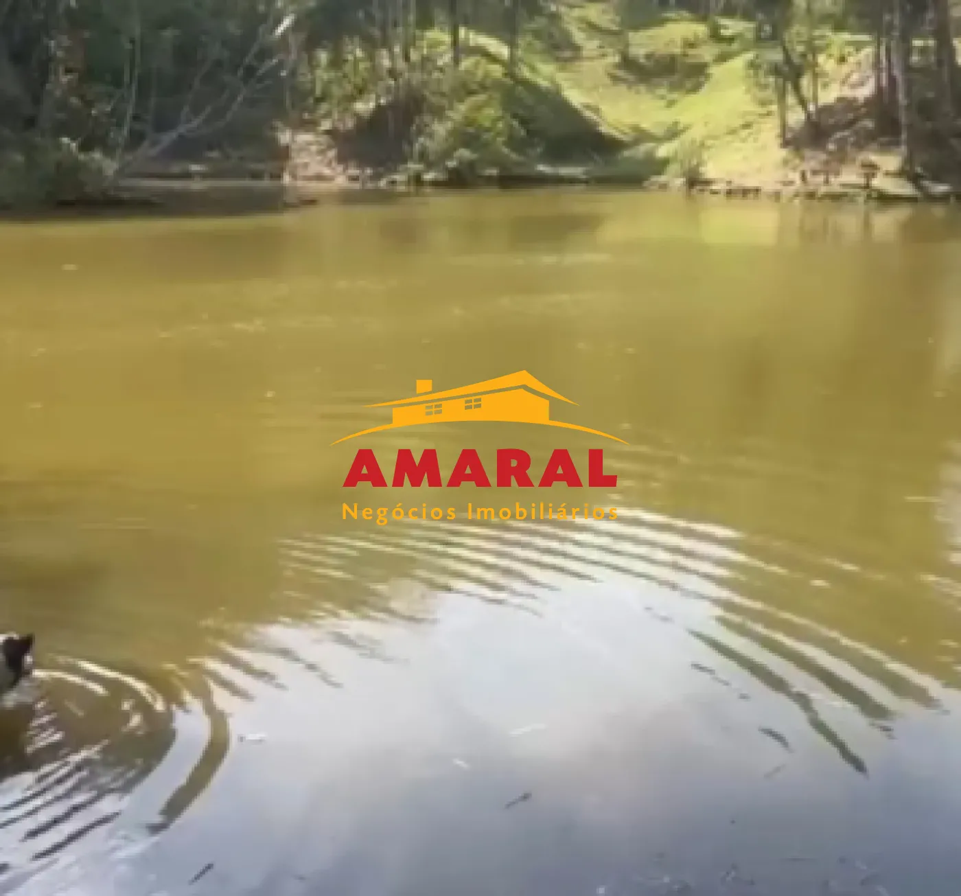 Comprar Rurais / Ch&aacute;cara em Mogi das Cruzes R$ 1.000.000,00 - Foto 6