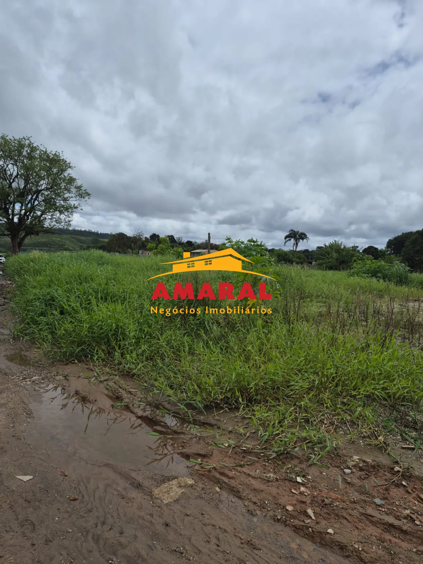 Comprar Terrenos / Terreno em Suzano R$ 480.000,00 - Foto 12