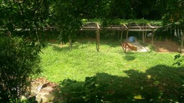 Comprar Rurais / Chácara em Suzano R$ 1.500.000,00 - Foto 46