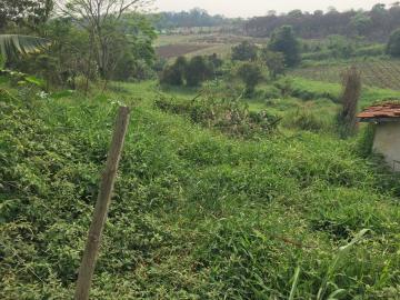 Comprar Terrenos / Terreno em Suzano R$ 480.000,00 - Foto 3