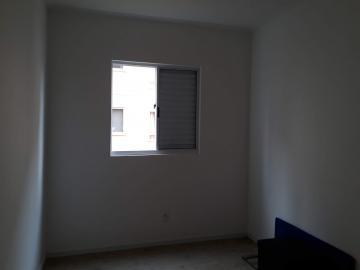 Alugar Apartamentos / Padrão em Suzano R$ 1.137,00 - Foto 15