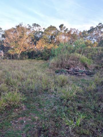 Comprar Terrenos / Terreno em Suzano R$ 680.000,00 - Foto 10