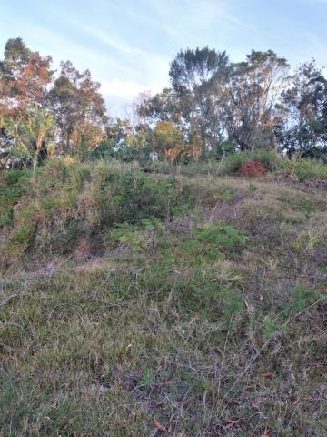 Comprar Terrenos / Terreno em Suzano R$ 680.000,00 - Foto 8