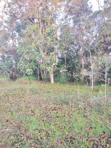 Comprar Terrenos / Terreno em Suzano R$ 680.000,00 - Foto 6