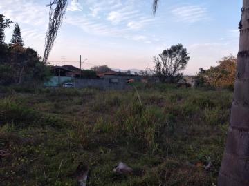 Comprar Terrenos / Terreno em Suzano R$ 680.000,00 - Foto 5