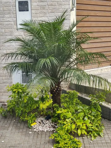 Comprar Casas / Sobrado em São Paulo R$ 900.000,00 - Foto 24