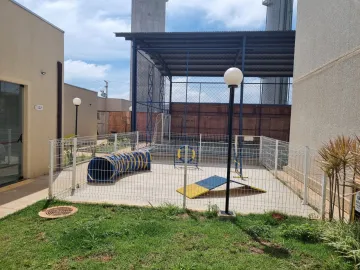 Alugar Apartamentos / Padr&atilde;o em Suzano R$ 1.100,00 - Foto 14