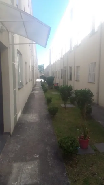 Alugar Apartamentos / Padr&atilde;o em Suzano R$ 580,00 - Foto 5