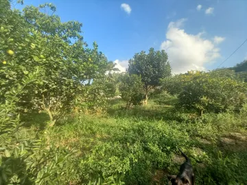 Comprar Rurais / Ch&aacute;cara em Suzano R$ 600.000,00 - Foto 3