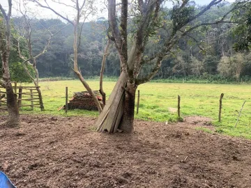 Comprar Rurais / Ch&aacute;cara em Santa Isabel R$ 750.000,00 - Foto 10