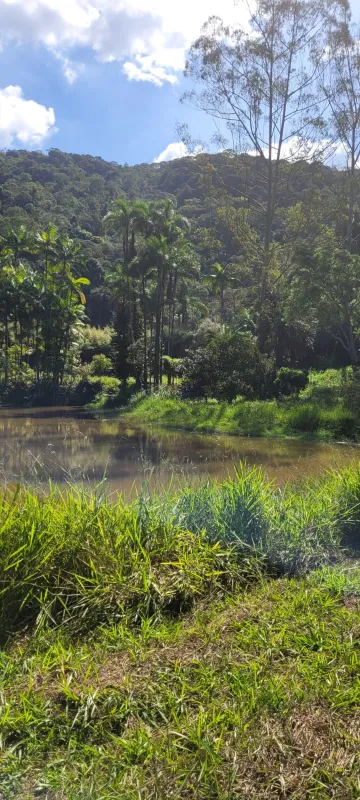 Comprar Rurais / S&iacute;tio em Suzano R$ 4.430.000,00 - Foto 1