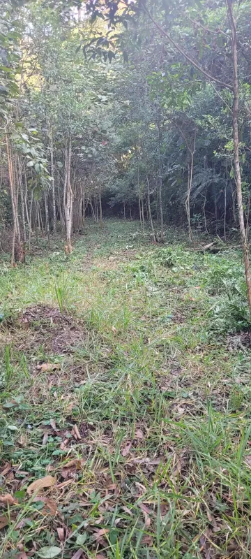 Comprar Rurais / S&iacute;tio em Suzano R$ 4.430.000,00 - Foto 6