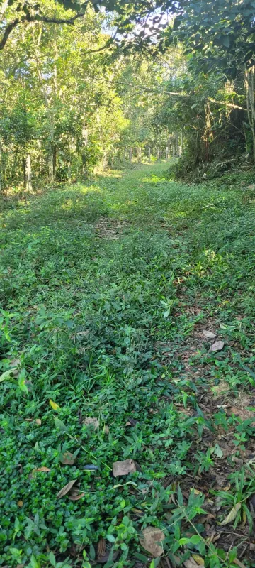 Comprar Rurais / S&iacute;tio em Suzano R$ 4.430.000,00 - Foto 7