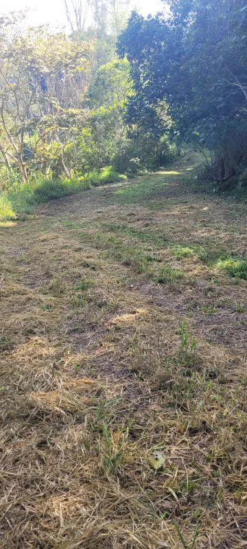 Comprar Rurais / S&iacute;tio em Suzano R$ 4.430.000,00 - Foto 8