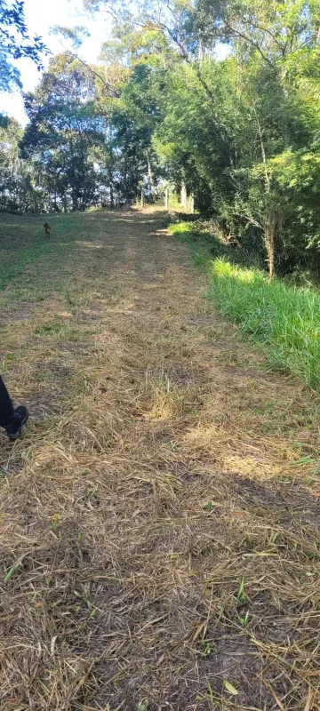 Comprar Rurais / S&iacute;tio em Suzano R$ 4.430.000,00 - Foto 9