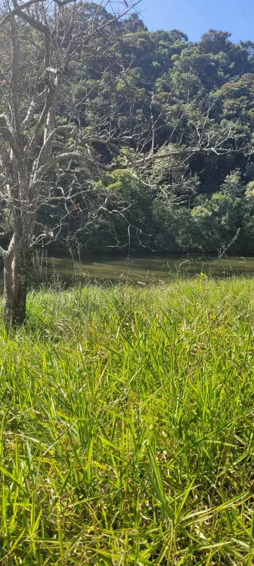 Comprar Rurais / S&iacute;tio em Suzano R$ 4.430.000,00 - Foto 11