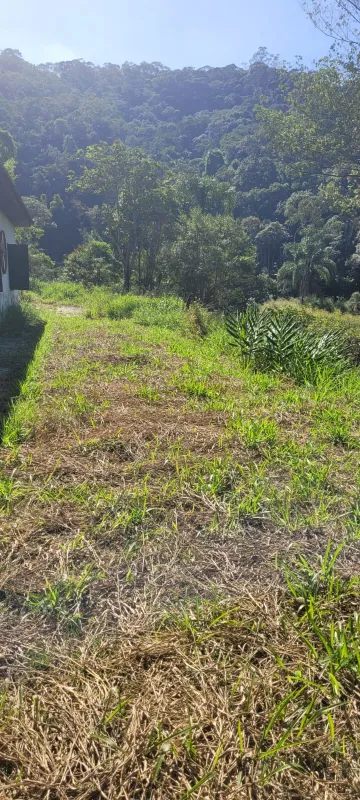 Comprar Rurais / S&iacute;tio em Suzano R$ 4.430.000,00 - Foto 13