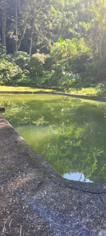 Comprar Rurais / S&iacute;tio em Suzano R$ 4.430.000,00 - Foto 14