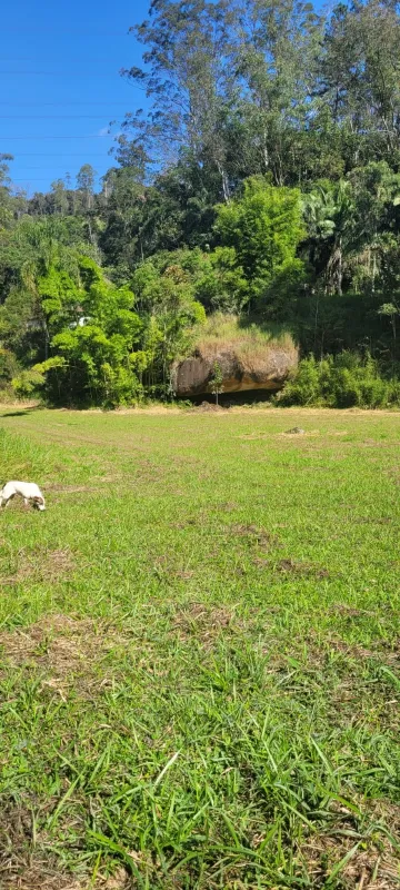 Comprar Rurais / S&iacute;tio em Suzano R$ 4.430.000,00 - Foto 15