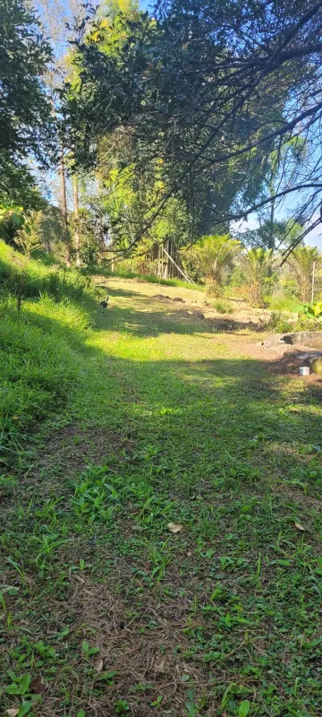 Comprar Rurais / S&iacute;tio em Suzano R$ 4.430.000,00 - Foto 16