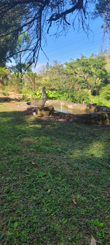 Comprar Rurais / S&iacute;tio em Suzano R$ 4.430.000,00 - Foto 17