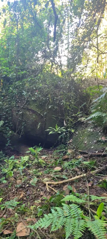 Comprar Rurais / S&iacute;tio em Suzano R$ 4.430.000,00 - Foto 18