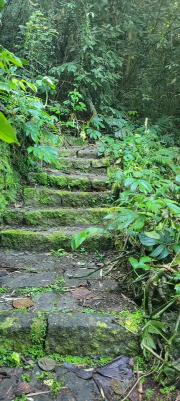 Comprar Rurais / S&iacute;tio em Suzano R$ 4.430.000,00 - Foto 20