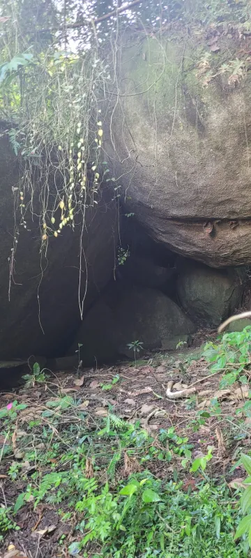 Comprar Rurais / S&iacute;tio em Suzano R$ 4.430.000,00 - Foto 21