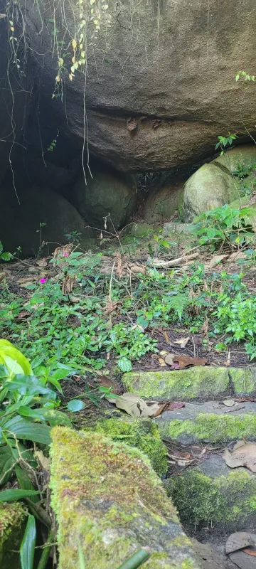 Comprar Rurais / S&iacute;tio em Suzano R$ 4.430.000,00 - Foto 23