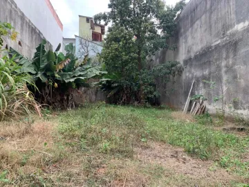Alugar Terrenos / Terreno em Suzano R$ 800,00 - Foto 4