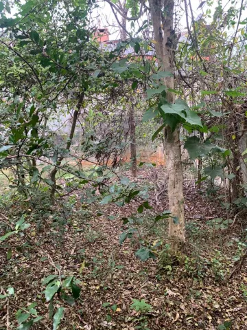 Alugar Terrenos / Terreno em Suzano R$ 800,00 - Foto 5