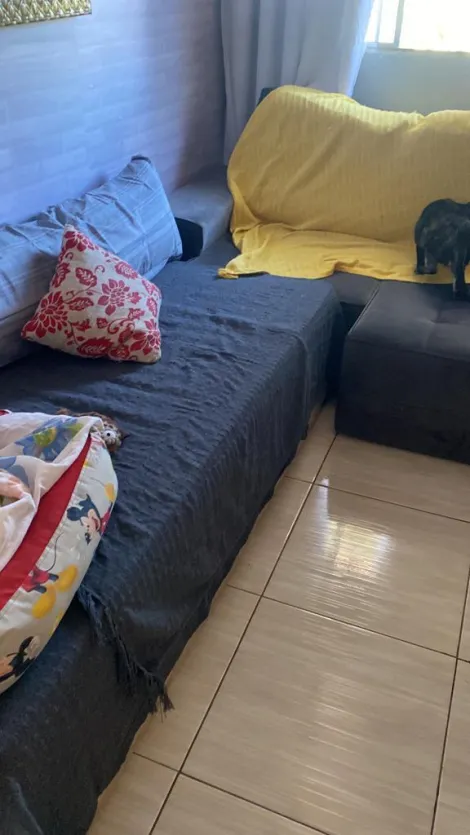 Comprar Casas / T&eacute;rrea em Suzano R$ 450.000,00 - Foto 5