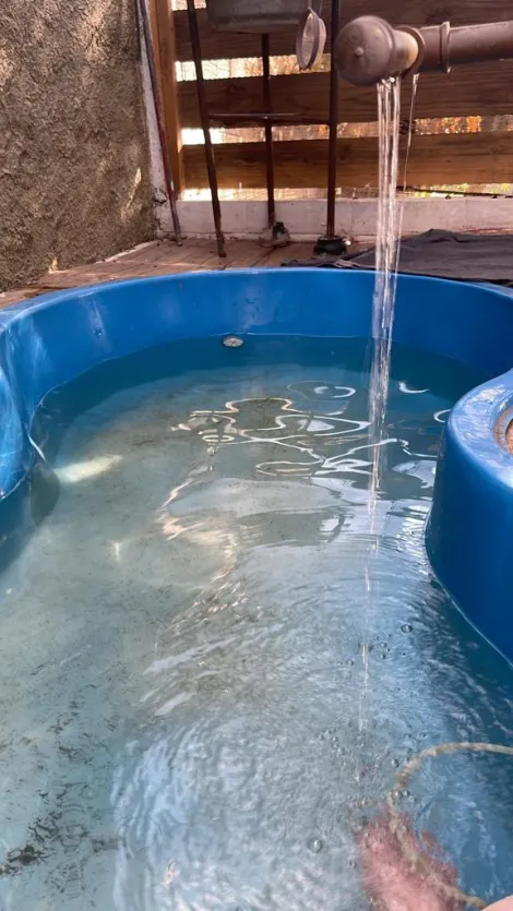 Comprar Casas / T&eacute;rrea em Suzano R$ 450.000,00 - Foto 18