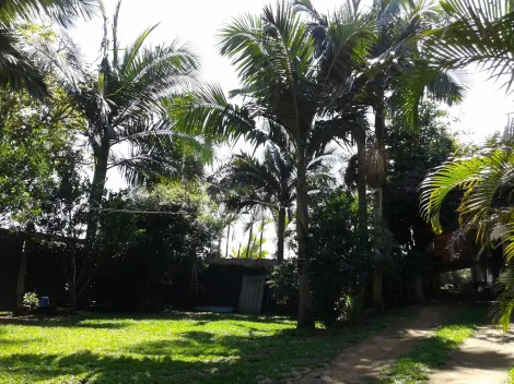 Comprar Rurais / Ch&aacute;cara em Suzano R$ 850.000,00 - Foto 17