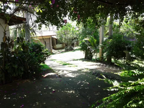 Comprar Rurais / Ch&aacute;cara em Suzano R$ 850.000,00 - Foto 18