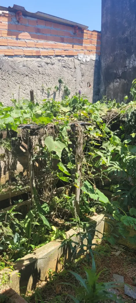 Comprar Casas / T&eacute;rrea em Suzano R$ 300.000,00 - Foto 31