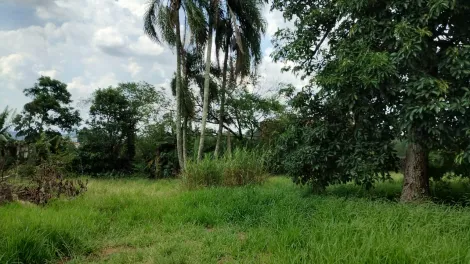 Comprar Terrenos / Terreno em Suzano R$ 400.000,00 - Foto 5