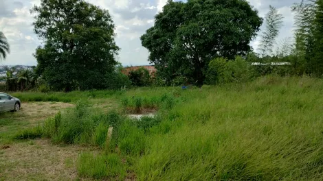 Comprar Rurais / Ch&aacute;cara em Suzano R$ 500.000,00 - Foto 23