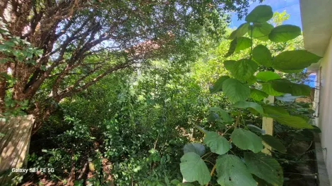 Alugar Casas / T&eacute;rrea em Suzano R$ 15.000,00 - Foto 41