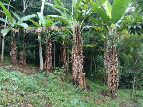 Comprar Rurais / Ch&aacute;cara em Biritiba Mirim R$ 285.000,00 - Foto 4