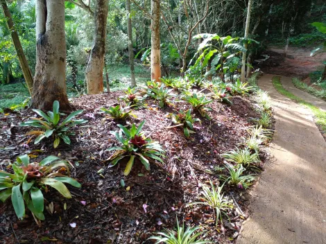 Comprar Rurais / Ch&aacute;cara em Biritiba Mirim R$ 285.000,00 - Foto 7