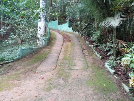 Comprar Rurais / Ch&aacute;cara em Biritiba Mirim R$ 285.000,00 - Foto 8