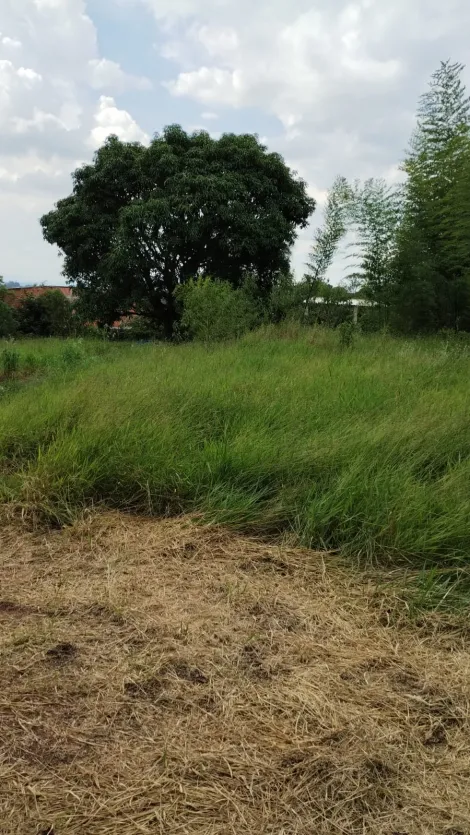 Comprar Terrenos / Terreno em Suzano R$ 400.000,00 - Foto 3