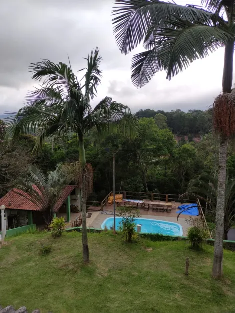 Comprar Rurais / Ch&aacute;cara em Suzano R$ 700.000,00 - Foto 7