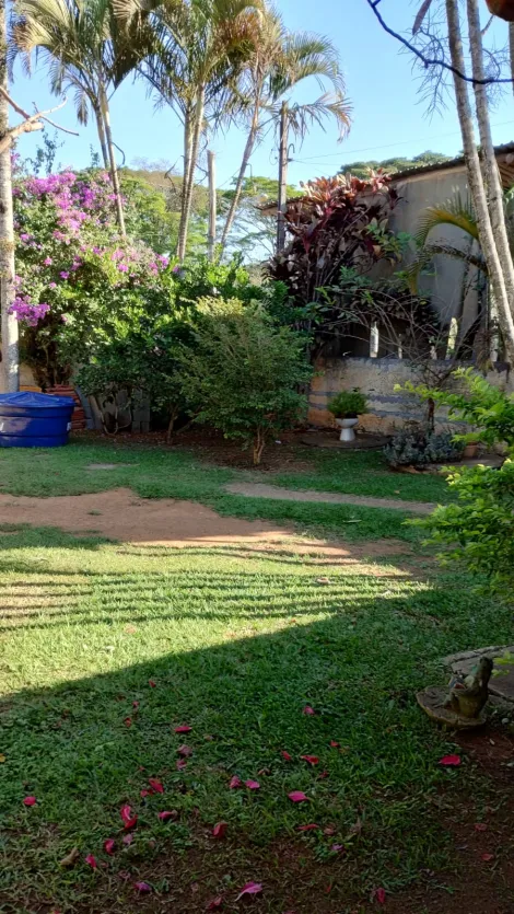 Comprar Rurais / Ch&aacute;cara em Suzano R$ 650.000,00 - Foto 6